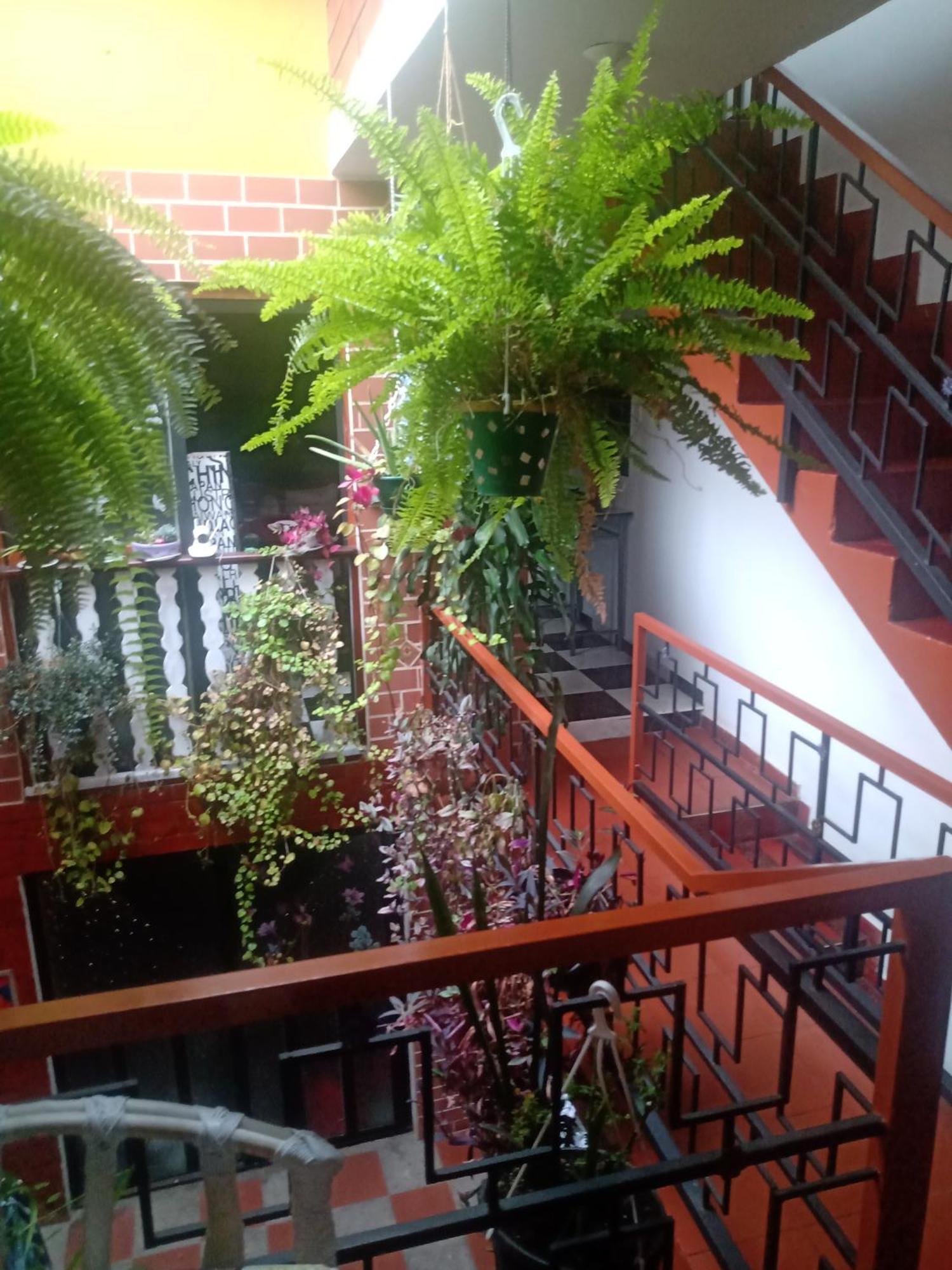 Casa De Familia Zuniga Habitación en casa particular